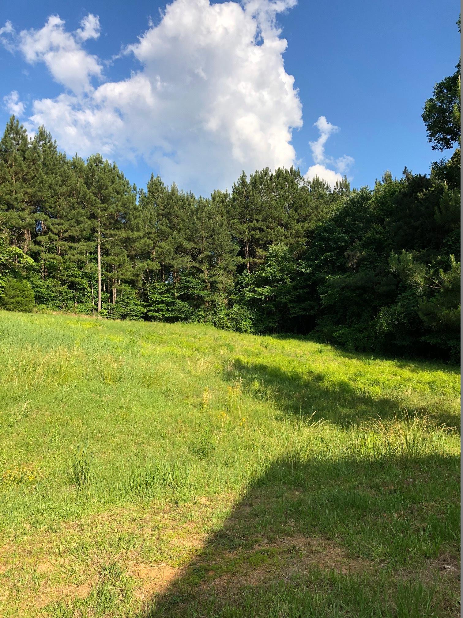 70820 Hwy 77 North, Alabama 35160, ,Land,Sold,Hwy 77 North,1008