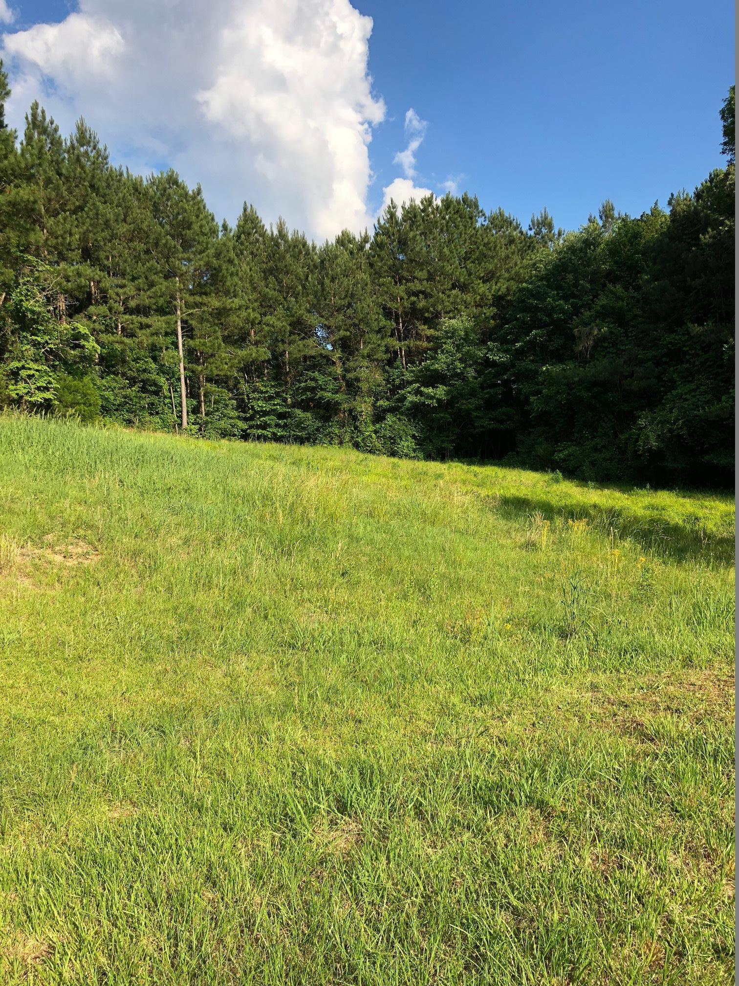 70820 Hwy 77 North, Alabama 35160, ,Land,Sold,Hwy 77 North,1008