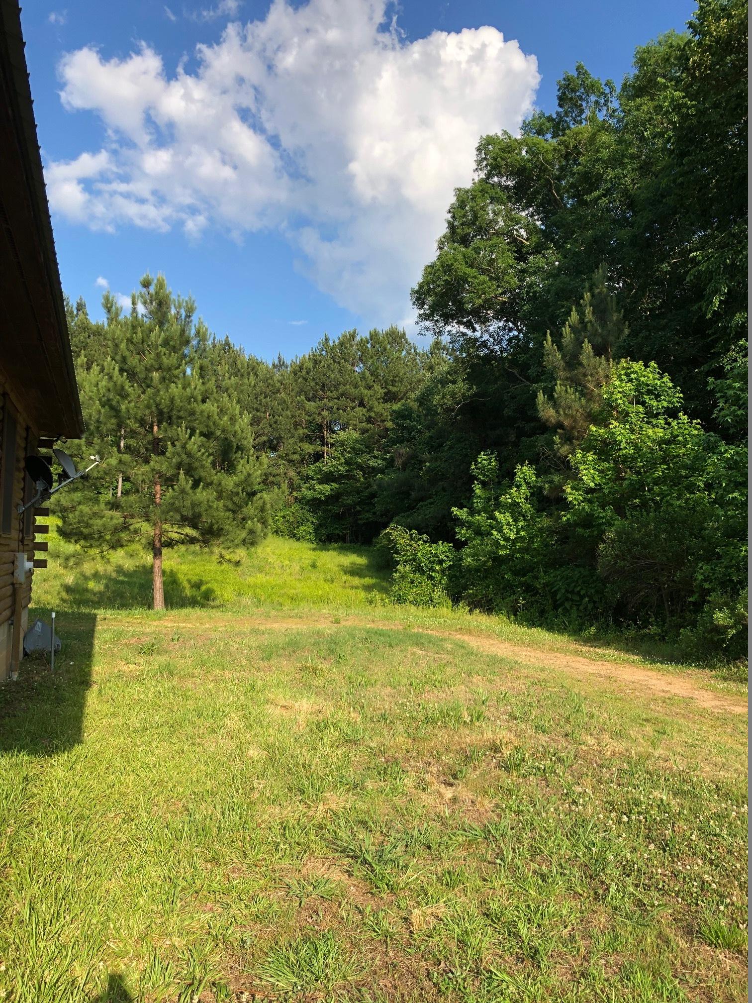 70820 Hwy 77 North, Alabama 35160, ,Land,Sold,Hwy 77 North,1008