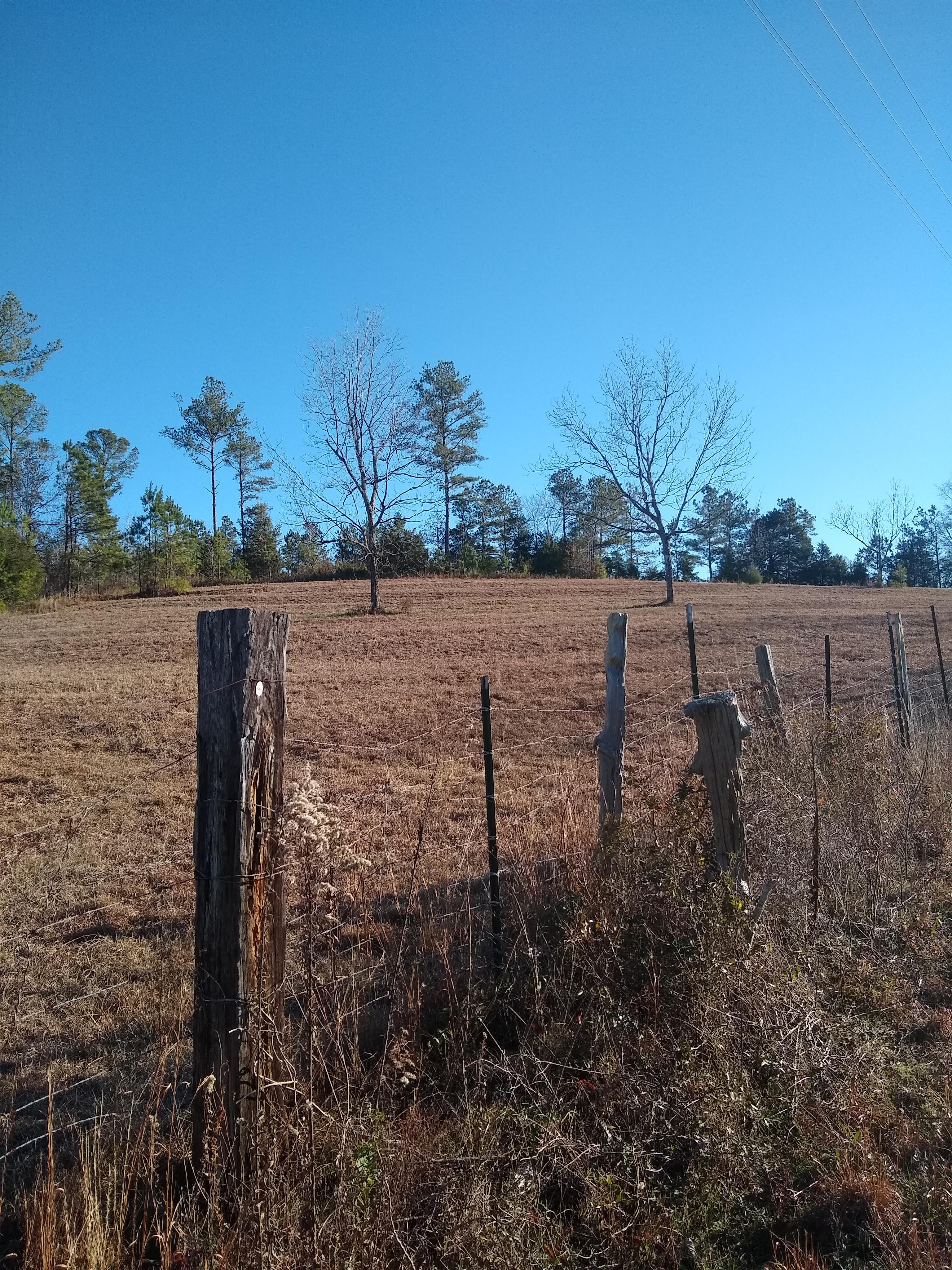 Dadeville, Alabama, ,Land,For Sale,1024