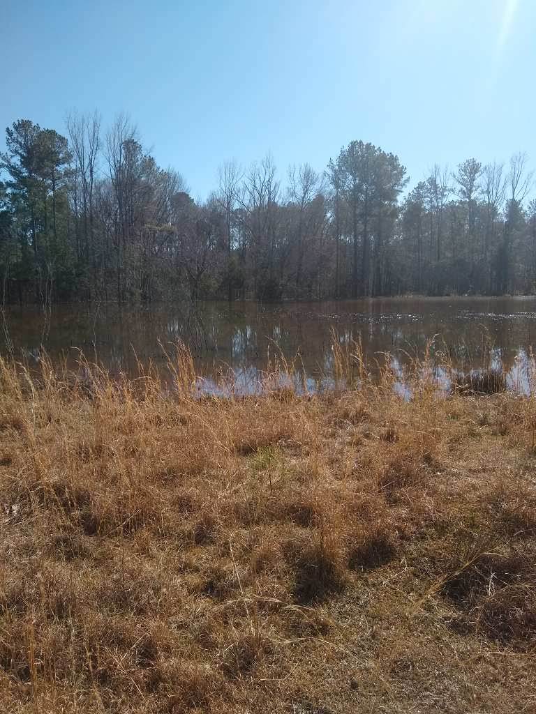 Dadeville, Alabama, ,Land,For Sale,1004