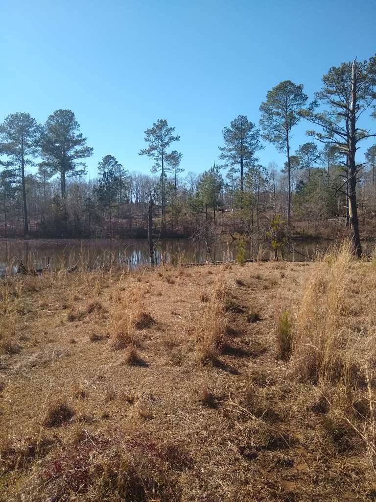 Dadeville, Alabama, ,Land,For Sale,1004