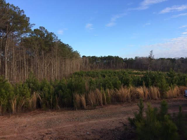 Alabama, ,Land,For Sale,1005
